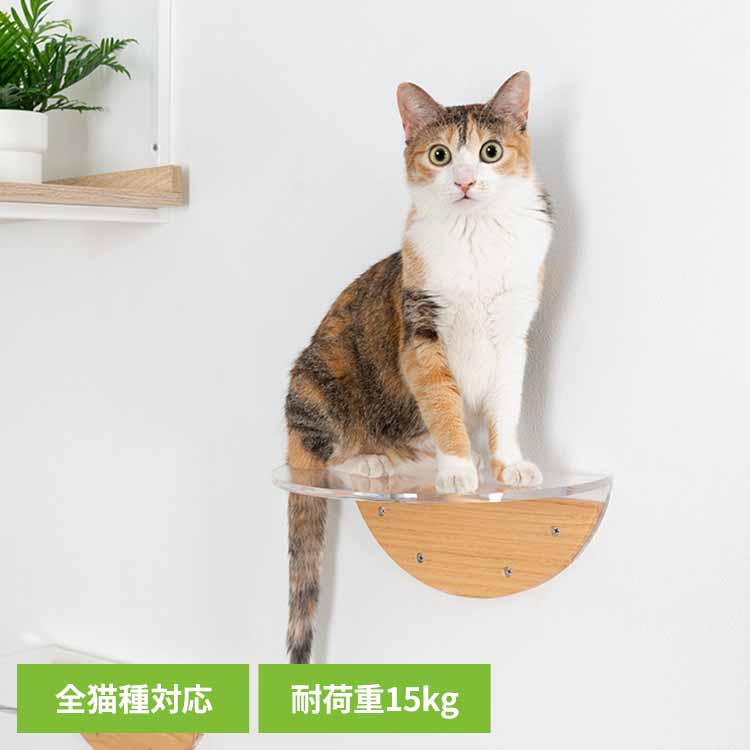 ROUNDLACK CLEAR MZ0020 キャットウォーク キャットステップ 猫用品 ペット用品 猫家具 猫ベッド 壁掛け ペット共生 スケルトン 透明ステップ 長彩株式会社 【B】