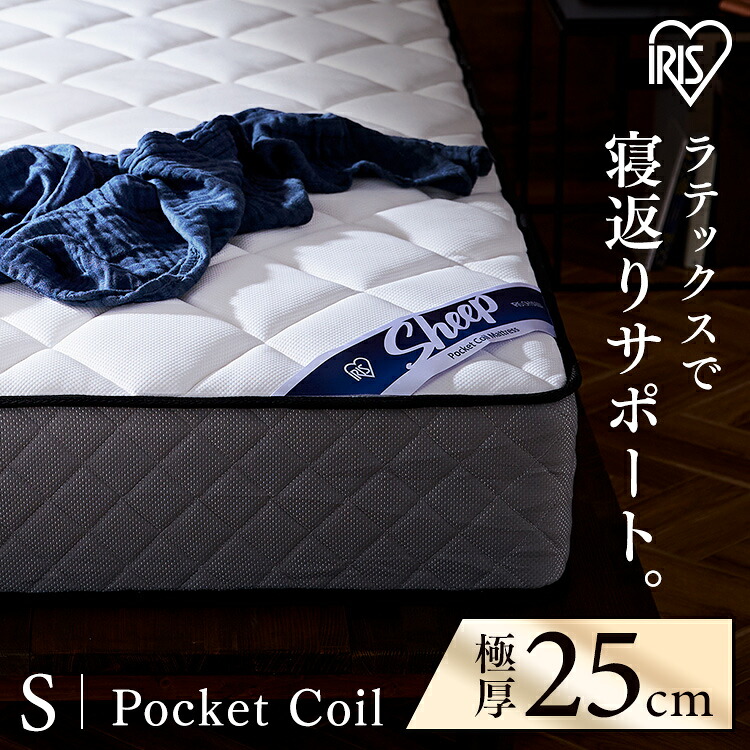 フライパン儀式用