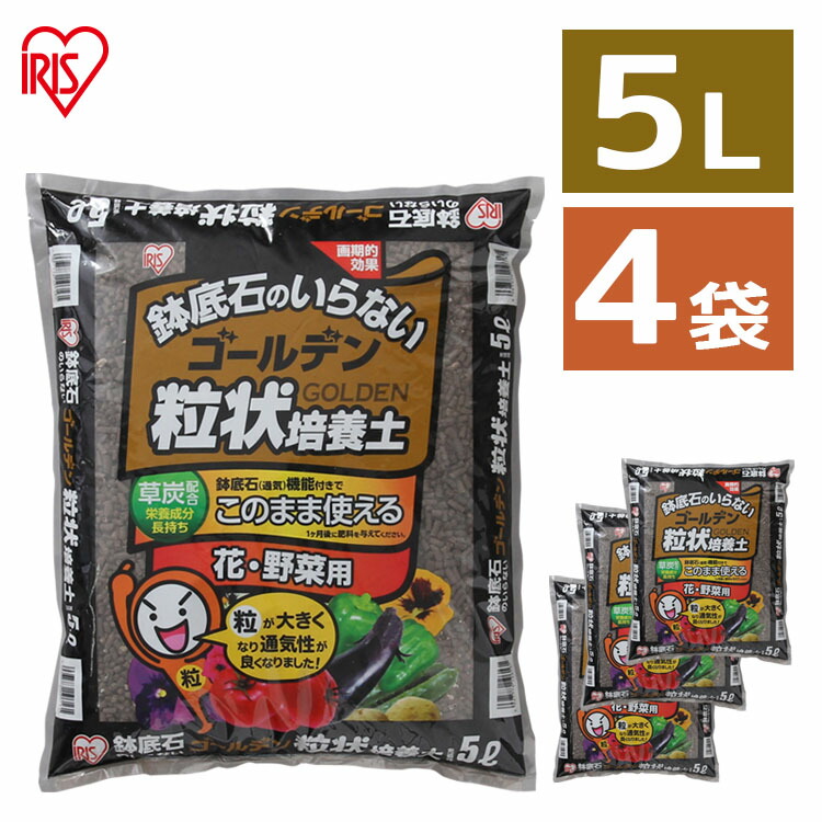 ６日入荷分⭐️キロロ⭐️ゴールデンマンボセット⭐️　２鉢５株 楽天市場】[最大2,000円OFFクーポン] 培養土 5L GRBA-5 ゴールデン粒状
