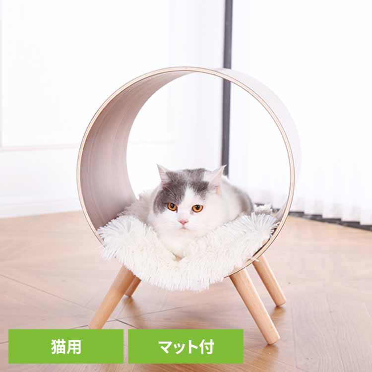 トンネル型キャットチェア マット付 YS133192 ペットファニチャー 木製 据え置き スリム 猫 ねこ おしゃれ KIRA