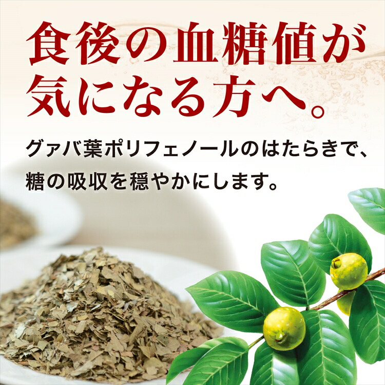 12本セット 蕃爽麗茶 お茶 2lばんそうれいちゃ Yakult ペットボトル 食事 グァバ葉ポリフェノール ノンカフェイン 特保 トクホ ヤクルト D 代引不可 飲料 Napierprison Com