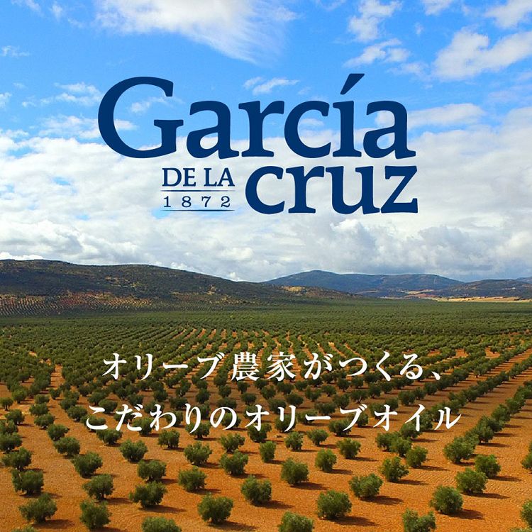 最安値に挑戦 ガルシア エクストラバージンオリーブオイル ペット 2L スペイン産 オリーブオイル オリーブ油 エクストラバージン 大容量 フレッシュ  Olive Oil 生食 業務用 techwyse.com