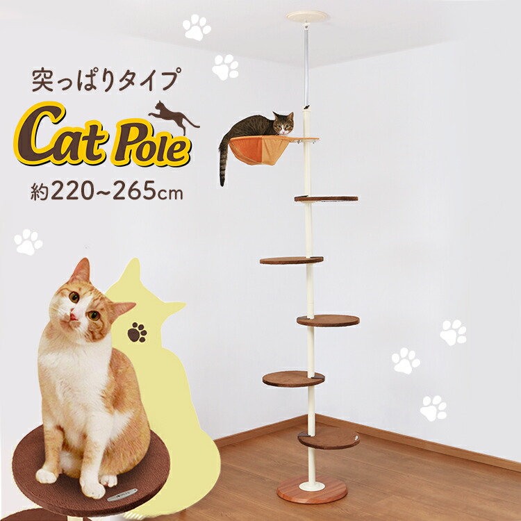 猫 木登り キャットタワー タワー 組立式遊具 ボンビアルコン キャットポール ボンビ キャットポール 猫用品 ナチュラル ビーンズ キャットタワー スリム 省スペース 突っ張り ハンモック付 キャットポール おしゃれ 猫タワー ボンビ 送料無料 キャットランド 木登り D 猫 木登り キャットタワー タワー 組立式遊具 ボンビアルコン キャットポール ボンビ キャットポール 猫用品 ナチュラル ビーンズ キャットタワー スリム 省スペース 突っ張り ハンモック付 キャットポール おしゃれ 猫タワー ボンビ 送料無料 キャットランド 木登り D