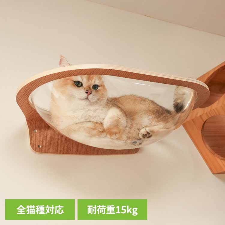 AURA星河キャットベッド MZ0004 キャットウォーク キャットステップ 猫用品 ペット用品 猫家具 猫ベッド 壁掛け ペット共生 猫部屋 透明 長彩株式会社 【B】