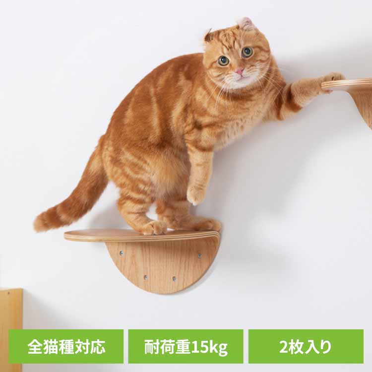 ROUNDLACK MZ0019 キャットウォーク キャットステップ 猫用品 ペット用品 猫家具 猫ベッド 壁掛け ペット共生 猫部屋 長彩株式会社 【B】