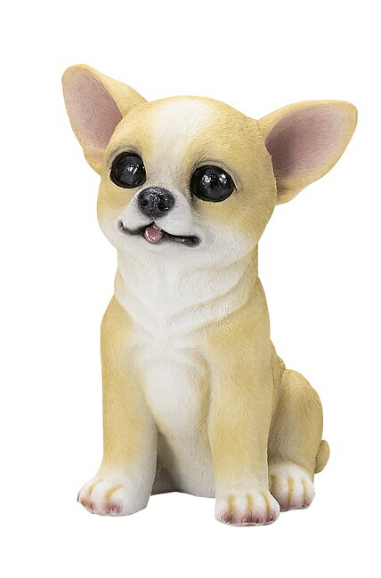 楽天市場】【入荷未定】HT7745 ドックハウスギフト チワワ ギフト