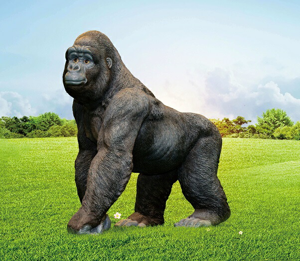 ゴリラ imgrc0093633289.jpg