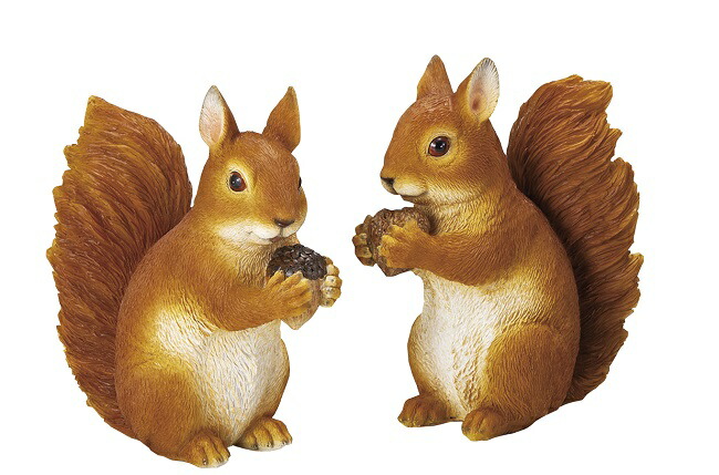 楽天市場】【NEW】【全商品ポイントキャンペーン中】S6604 森のりす