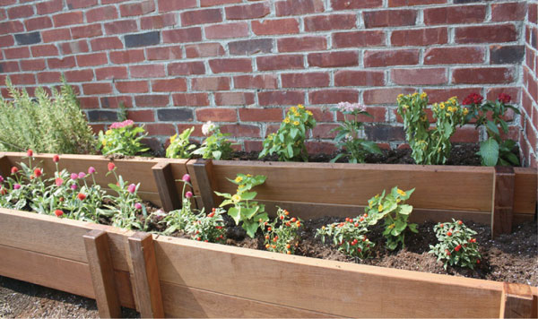 木製 ウリン用木 段々花畑1表現方法900 1 ミニ花壇用土仕舞パネル 3枚一式 Doorswindowsstairs Co Uk