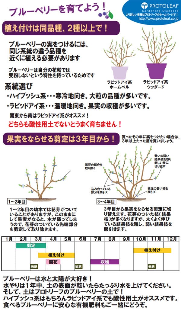 送料無料 ブルーベリーの地べた 14リットルプライス5袋揃 プロトリーフ Acilemat Com