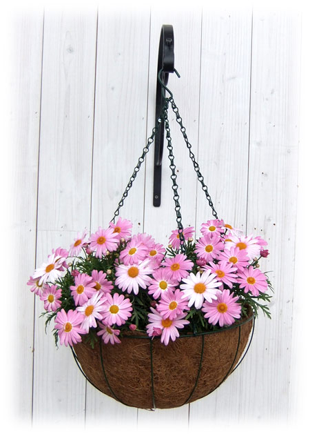 【楽天市場】ハンギングバスケットS:園芸ネット プラス