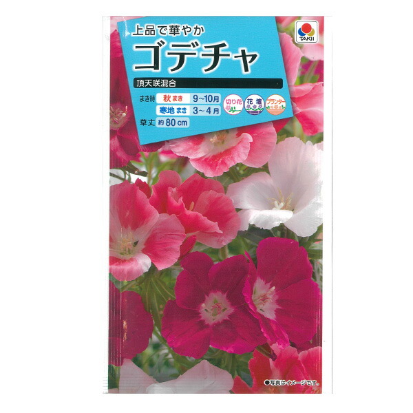 楽天市場】金盞花（キンセンカ） スター 混合[秋・春まき 草丈60cm 切花に タキイ 花タネ] : 園芸ネット プラス