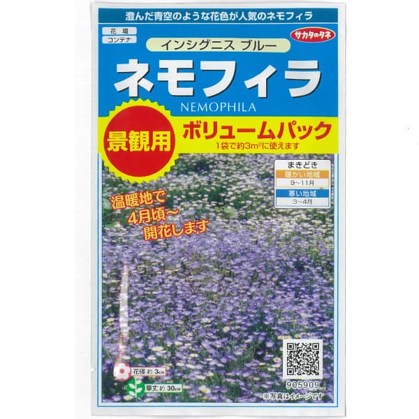 楽天市場】ネモフィラ 苗 Zシリーズ ピンク シルバーリーフ 3.5