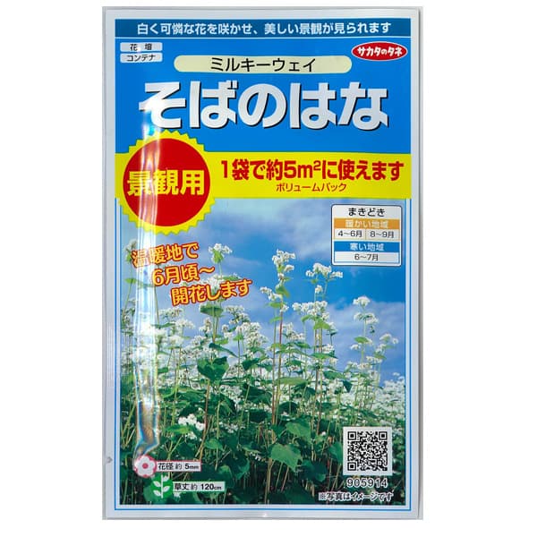 楽天市場】ソバ（蕎麦）：春のいぶき1kg袋詰め[タネ] : 園芸ネット プラス