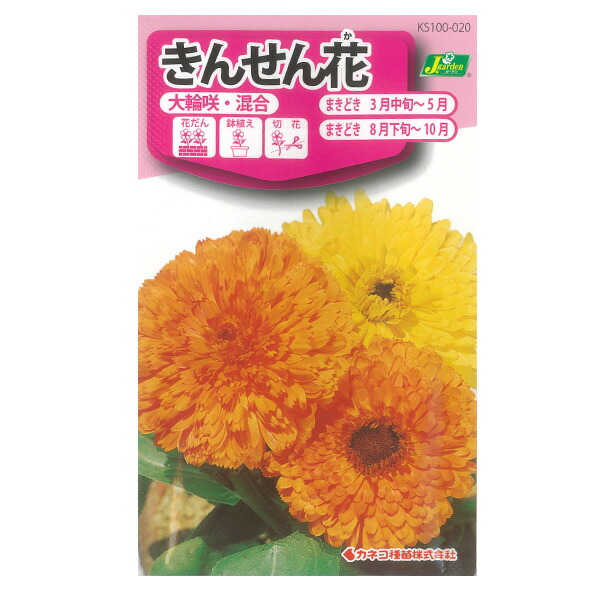 楽天市場】金盞花（キンセンカ） スター 混合[秋・春まき 草丈60cm 切花に タキイ 花タネ] : 園芸ネット プラス