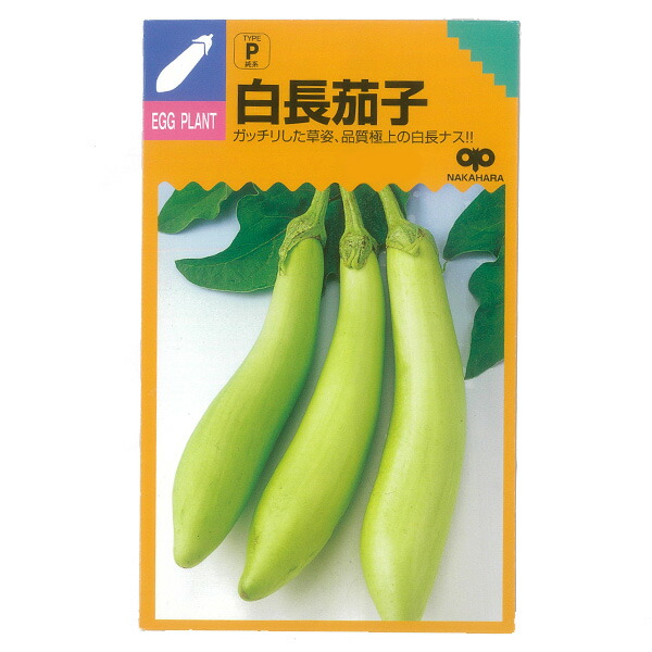 茄子男様用2 Amazon | [FEGVE] チタン 扇子 メンズ ブラック 折りたたみ式
