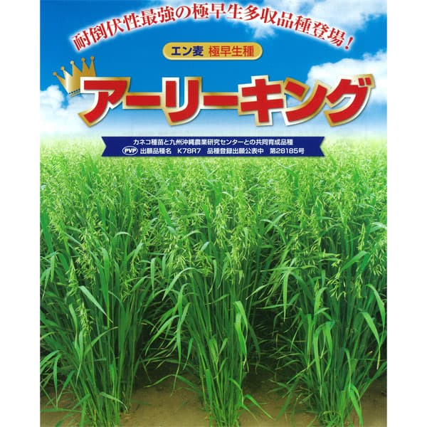 牧草種子：エン麦 アーリーキング 原袋20kg入り[夏～秋まき タネ]｜園芸ネット プラス
