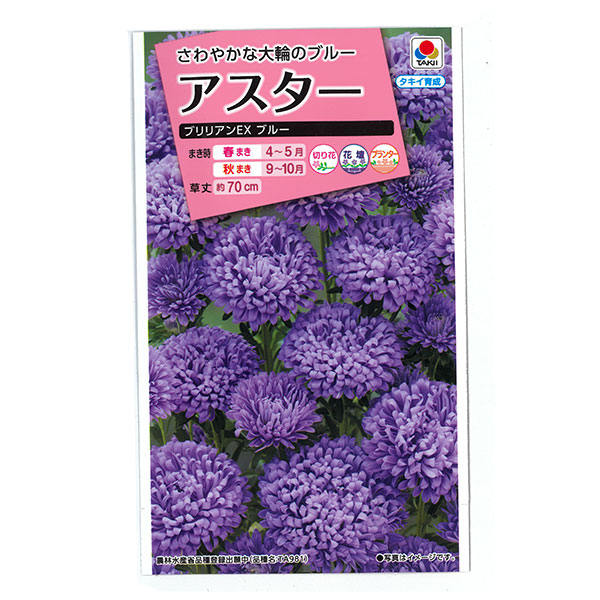 楽天市場】[送料無料]（わけあり特価）【有効期限23年10月】イエロー