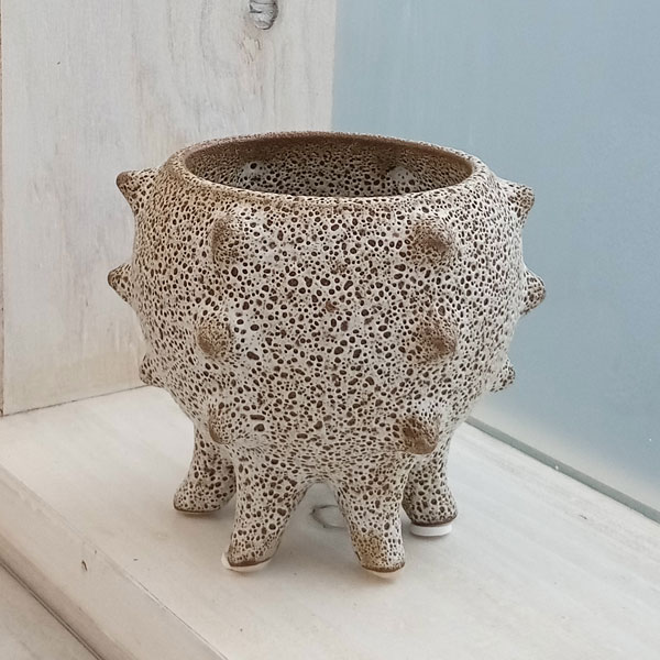 楽天市場】カクタス・スケルトン15cm （サボテン骨格） 1本