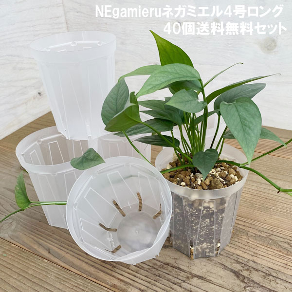[送料無料]スリット鉢（透明）：ネガミエル4号ロング40個セット｜園芸ネット プラス