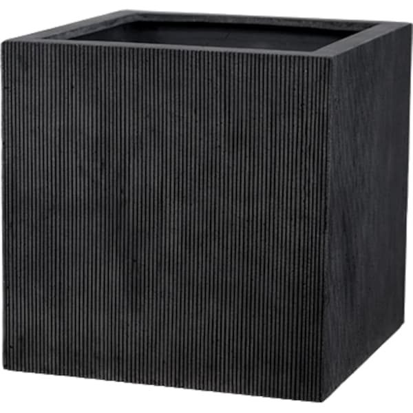 エン2階建てバス 正六面体 黒いこと（大型鉢）50cm×50糎
