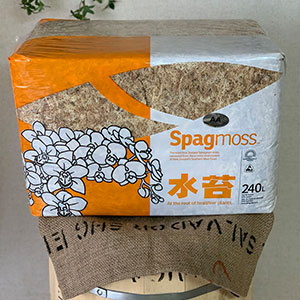 楽天市場】NSブランド ニュージーランド産水苔 3A(ミズゴケAAA) 3kg