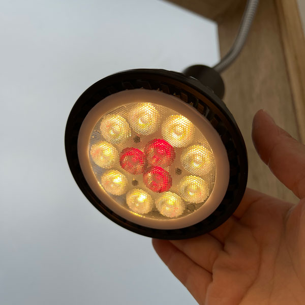 [貨物輸送無料]プランツネクスライト：黒いこと 白熱電球色（オレンジ色光 LED草木育みそだてるともし火）