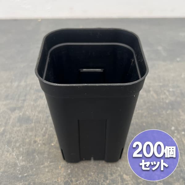 [送料無料]プレステラ105型 深鉢 ブラック 200個セット｜園芸ネット プラス