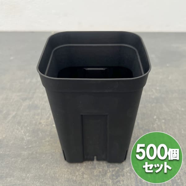 押し付けるテラ120型 深鉢 黒いこと 500個仕掛ける