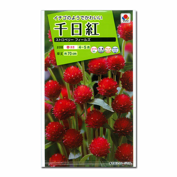 楽天市場 有効期限19年10月 千日紅 センニチコウ ストロベリーフィールズ タキイ 花タネ 園芸ネット プラス