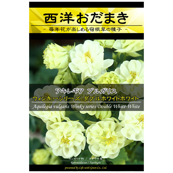 楽天市場 アクイレギア 西洋オダマキ ウィンキーシリーズダブル ホワイトホワイト 花タネ 園芸ネット プラス