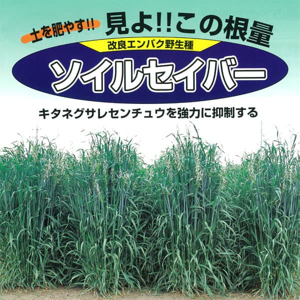 楽天市場 牧草種子 エン麦ソイルセイバーオーツ 1kg 2アール分 春 秋まき タネ 園芸ネット プラス