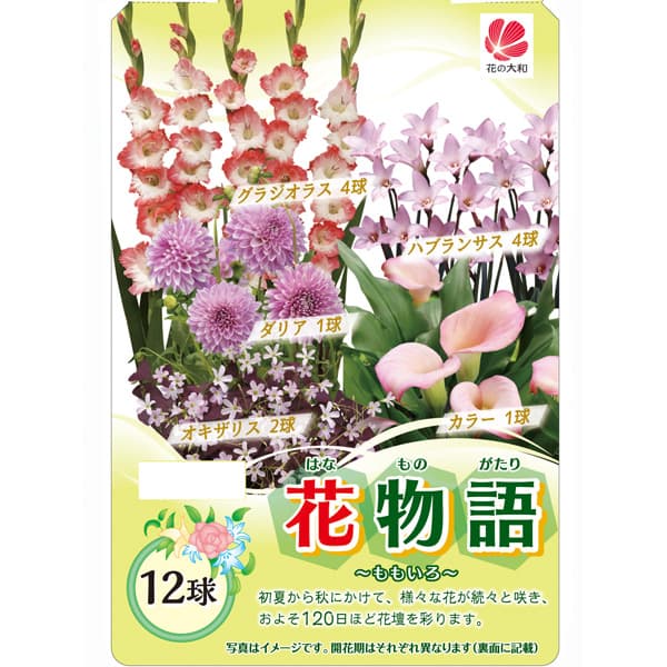 球根/[26年4月上旬予約]花物語（春）：ももいろ 12球セット画像