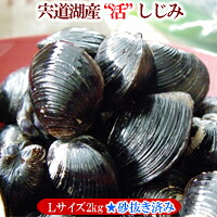 【宍道湖】【砂抜き済み・活しじみ】 『活』大和しじみ（シジミ）Ｌサイズ2kg 発砲スチロール入・冷蔵発送 ※写真はイメージです。 （ゆうパック限定発送）
