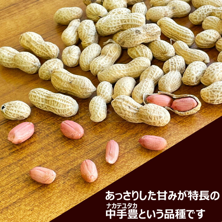 市場 千葉県産 ナカテユタカ 国産 中手豊 八街 落花生 からつき ピーナッツ 400g やちまた