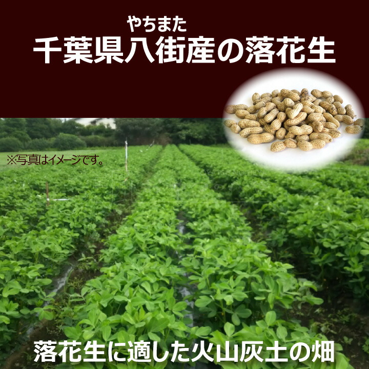 市場 千葉県産 ナカテユタカ 国産 中手豊 八街 落花生 からつき ピーナッツ 400g やちまた
