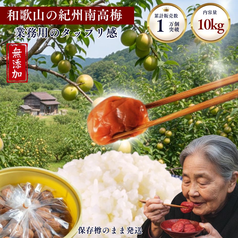 樽で発送 訳あり 紀州南高梅 和歌山県産 無添加 無着色 塩分約20% 昔ながら 白干し 梅漬け 無添加梅干し訳アリ 無添加梅干し 訳あり梅干し しょっぱい梅干し 紀州梅干し 訳あり梅干し送料無料 業務用 大容量 おにぎりの具 産地直送 南高梅 梅 10kg