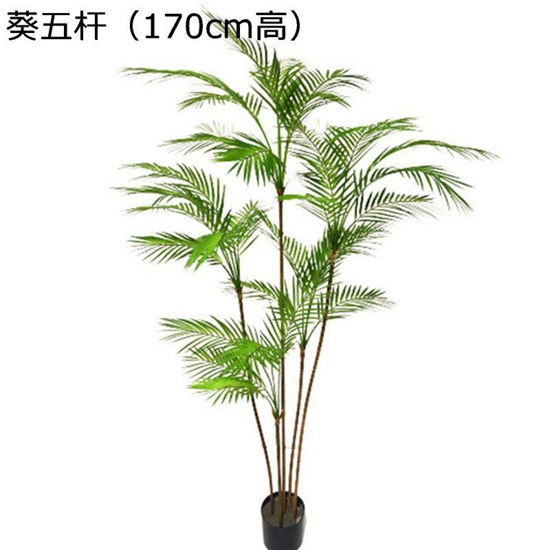 ?真?植散尾葵假?植迷?葵盆栽?盆散尾葵客??植?真?植造景｜magnifico18 8,387円