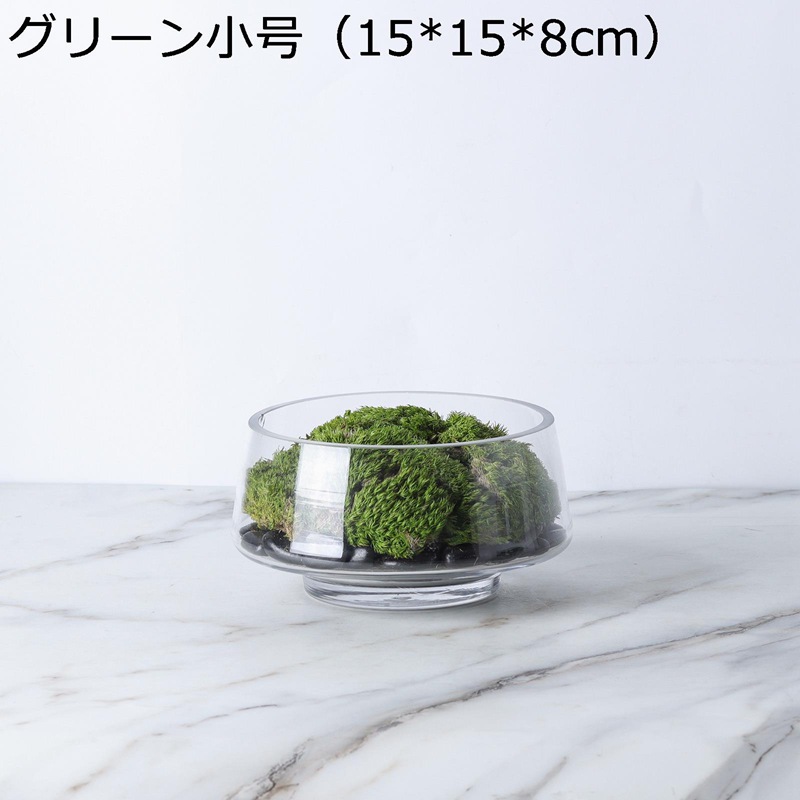コケ ホテル リビング 卓上 ミニ ルーム 部屋に置く植物 ガラス 石 窓辺 造花 フェイクグリーン 人工樹木 プレゼント 引っ越し祝い 父の日 お世話不要 本物そっくり グリーナリーライフ ギフト