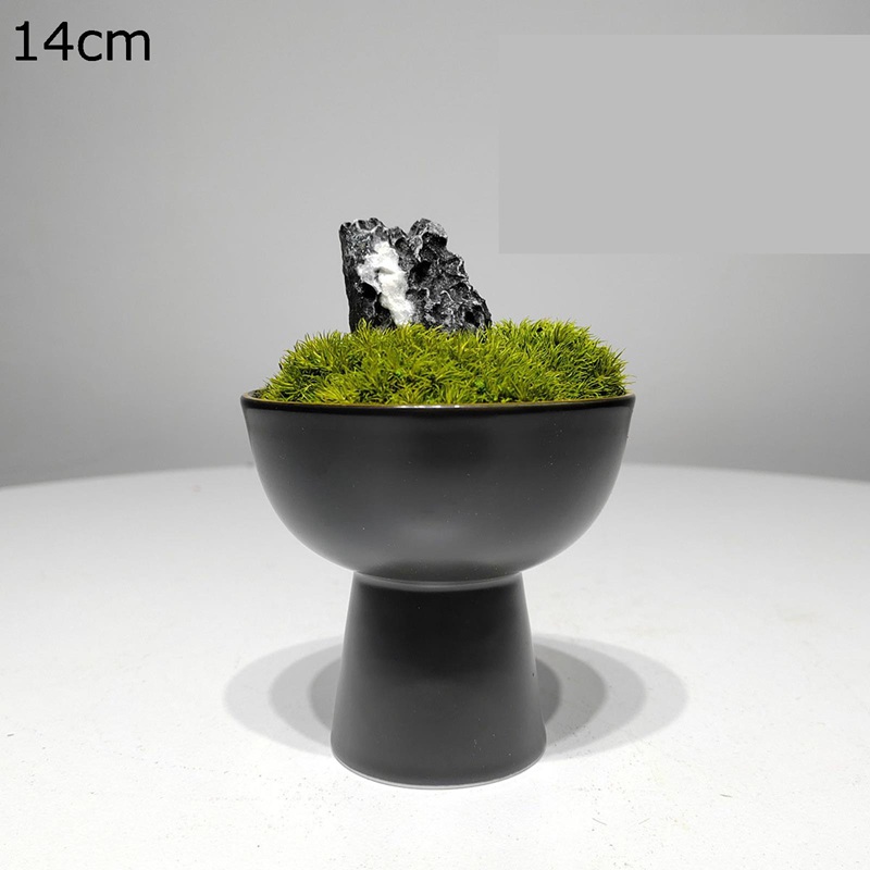 禅風 ミニ 卓上 永生苔 ガーデン カフェ キッチン ベッドルーム 造花 フェイクグリーン 人工観葉植物 装飾り お祝い お世話不要 お手入れやすい 長持ち リアル モダン空間に最適 ギフト向け