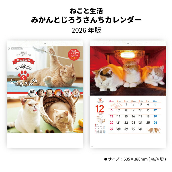 楽天市場】カレンダー 2026 壁掛け 猫 ねこと生活 みかんとじろうさん