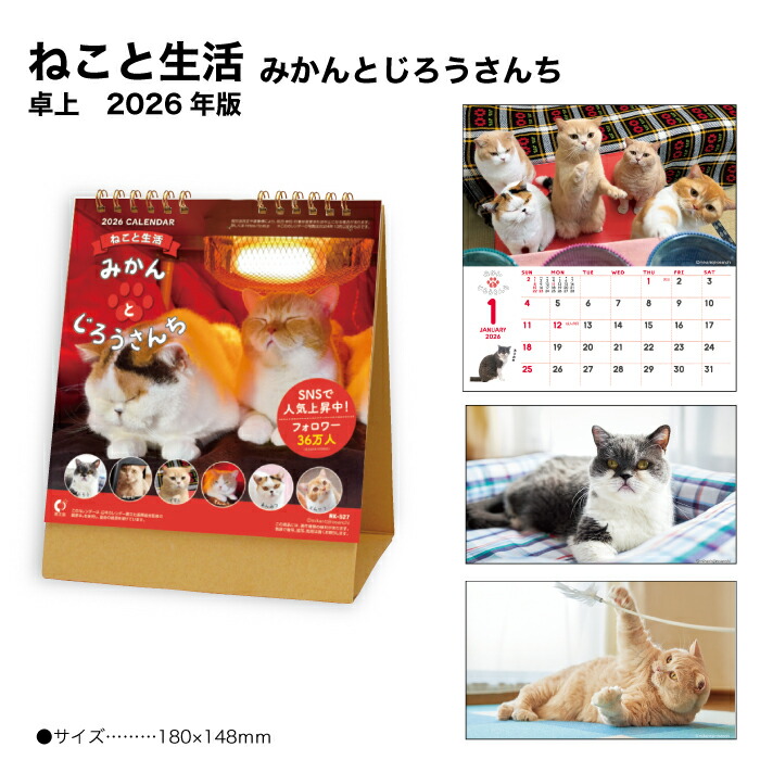卓上猫さんぽカレンダー2024 100部 楽天市場】カレンダー 卓上 2025 猫 ねこ ネコ 猫さんぽ 卓上