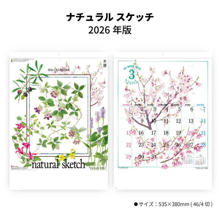 楽天市場】カレンダー 2026年 壁掛け ナチュラルスケッチ SG277