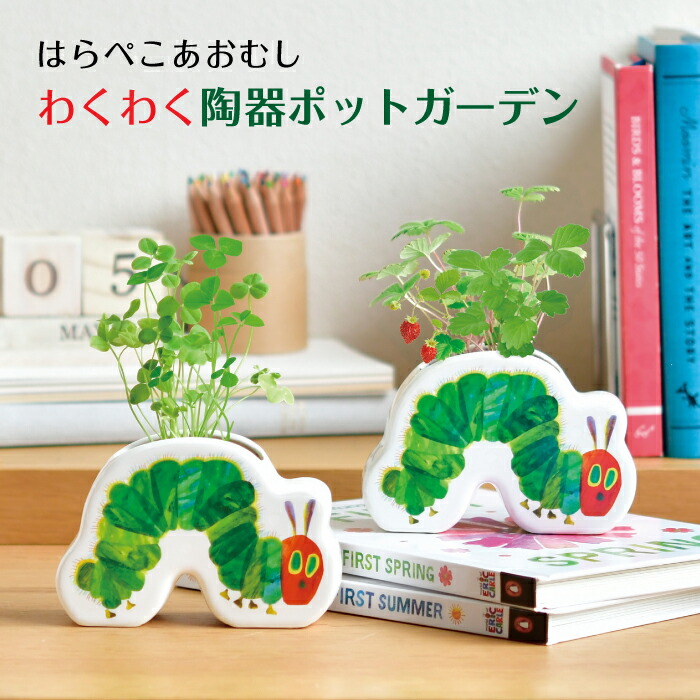 楽天市場】【くじ付き】 はらぺこあおむし わくわく陶器ポットガーデン