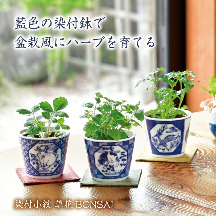 盆景用　盆　塗り 楽天市場】盆提灯 行灯 菊里 11号 サクラ調 電気コード式LED 絹