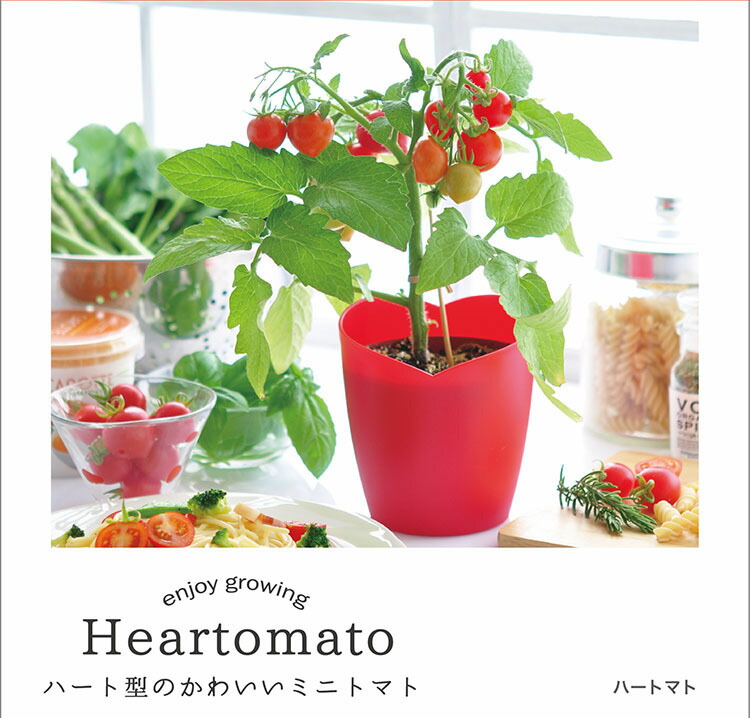 楽天市場】ミニトマト トマト プチトマト 鉢植え プランター ギフト