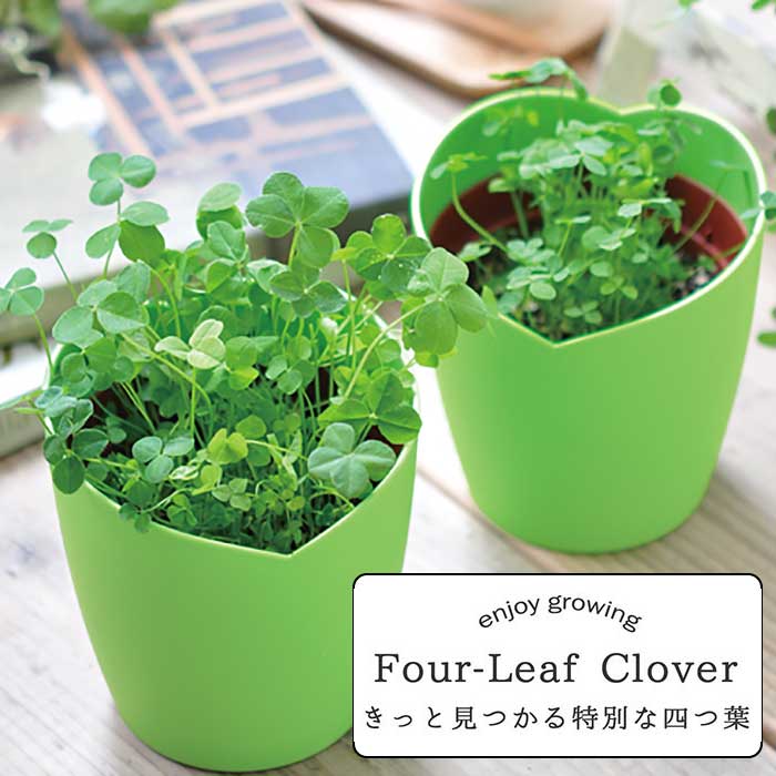 ☆四つ葉のクローバ☆ デザイン】四つ葉のクローバーで幸せ運ぶご縁はがき｜ご縁はがき