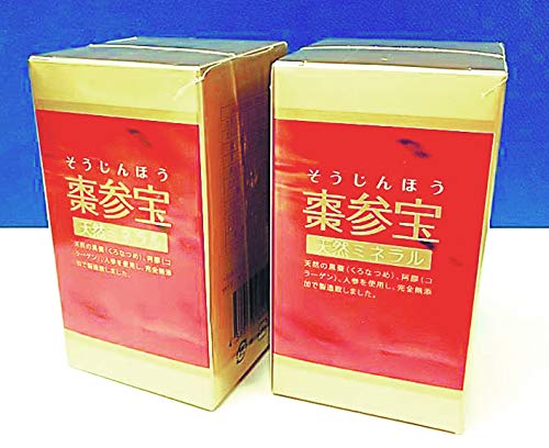 棗参宝（そうじんほう） 330mg×100カプセル入り ２本セット