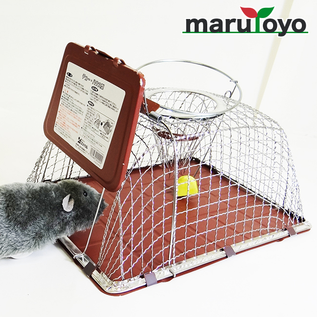 楽天市場 チュー ハウス型 ネズミ捕獲器 ネズミ駆除 鼠 ねずみ 園joy Marutoyo