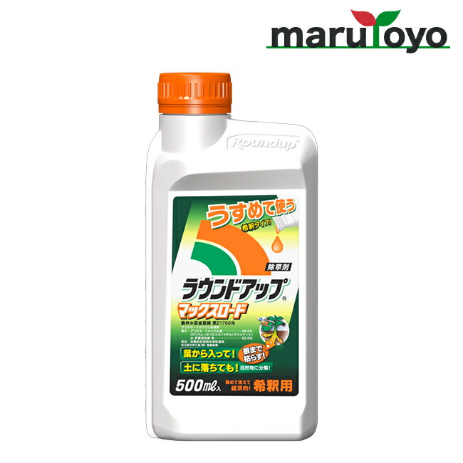 観葉草木の土の菌類打つ手！小ぎれいな周囲の状況を作る5つの踏み段